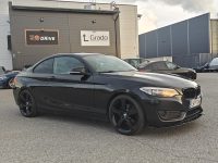 BMW 220 10
