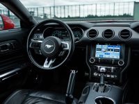 Ford Mustang 12