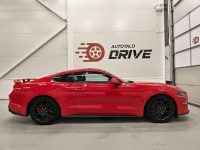 Ford Mustang 8