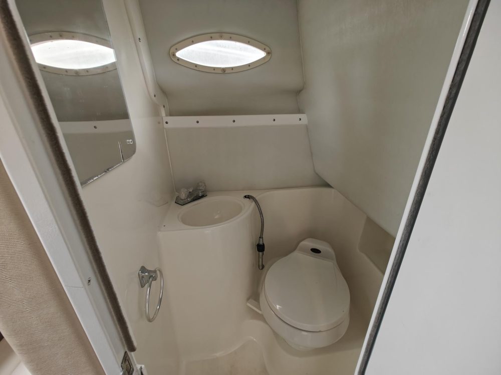 Wellcraft 2600 Martinique 9