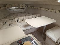 Wellcraft 2600 Martinique 10