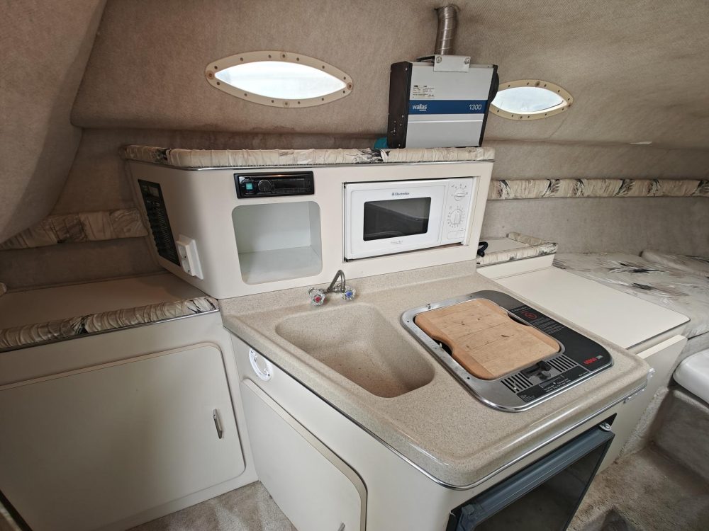 Wellcraft 2600 Martinique 11