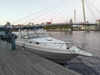 Wellcraft 2600 Martinique 5