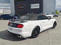 Ford Mustang 13