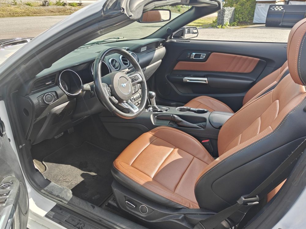 Ford Mustang 19