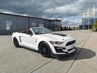 Ford Mustang 8