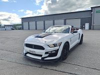 Ford Mustang 11