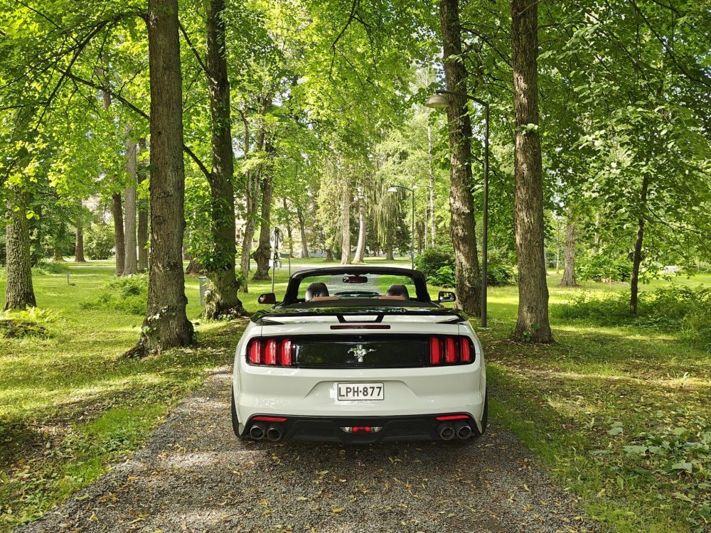Ford Mustang 24