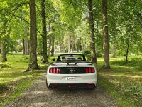 Ford Mustang 24