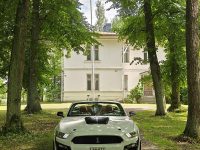 Ford Mustang 25