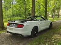 Ford Mustang 26