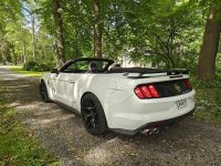 Ford Mustang 23