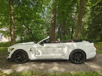 Ford Mustang 22
