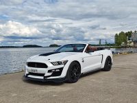Ford Mustang 1