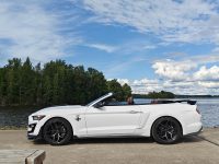 Ford Mustang 6