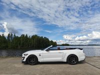Ford Mustang 3