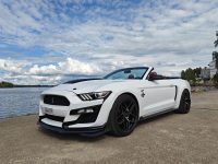 Ford Mustang 17