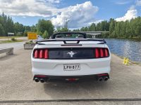 Ford Mustang 10