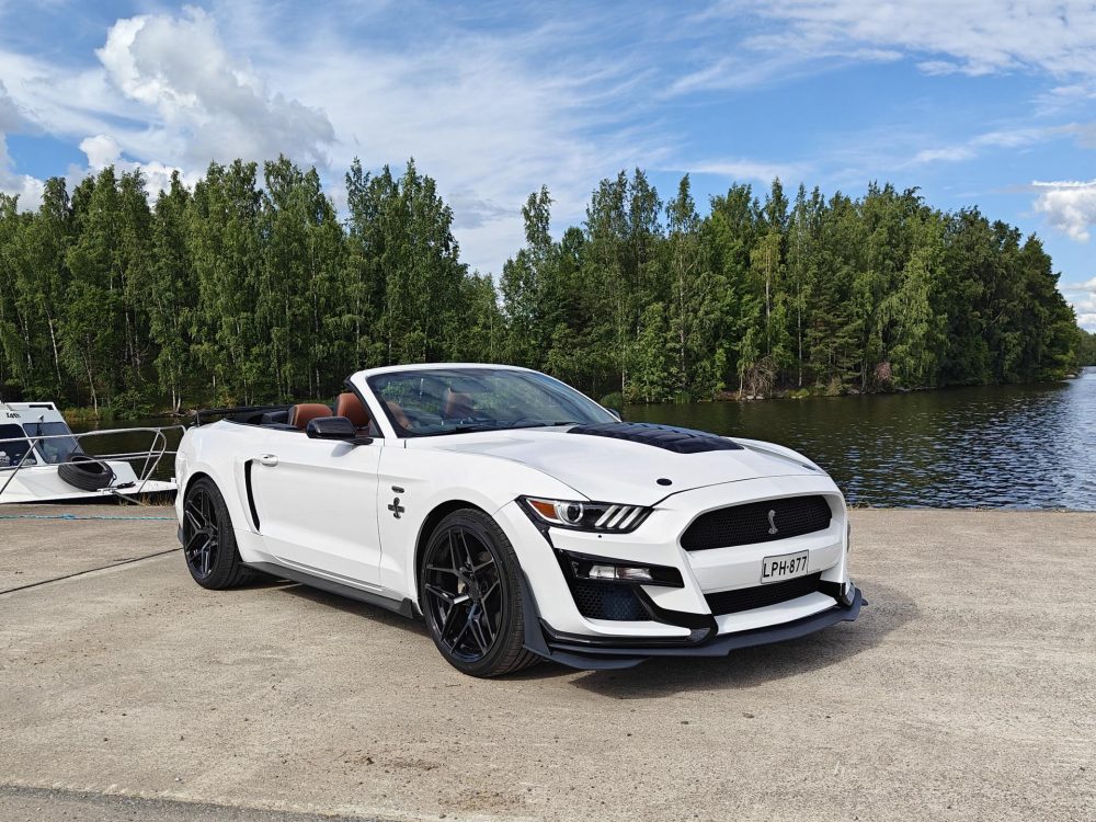 Ford Mustang 13