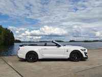 Ford Mustang 15