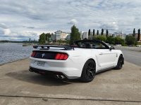 Ford Mustang 16