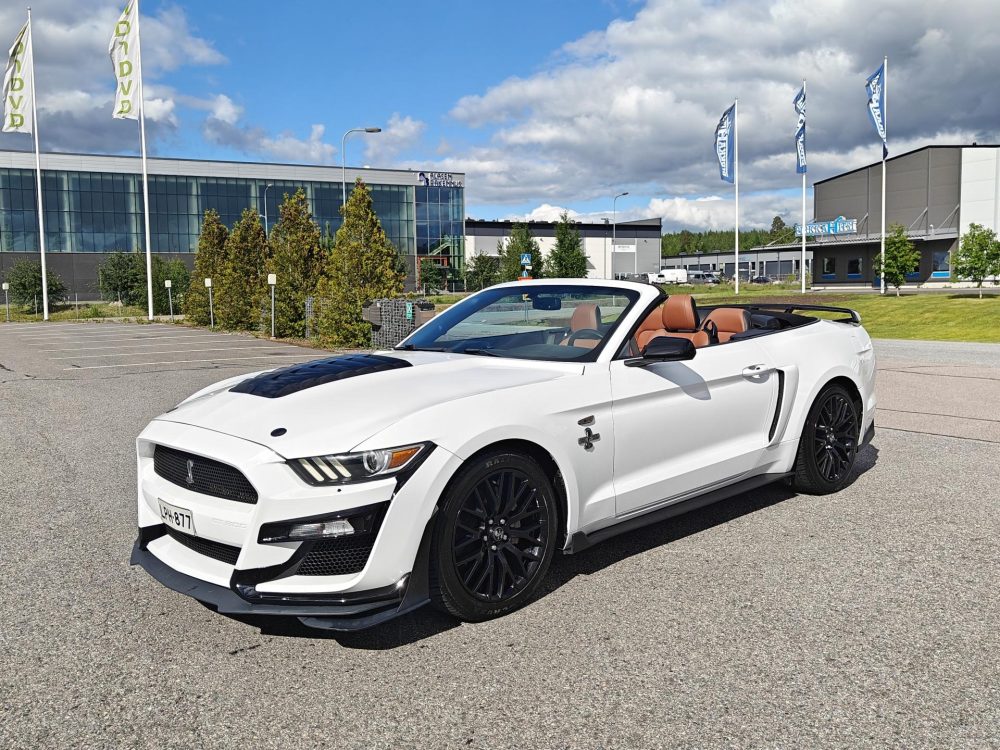 Ford Mustang 29