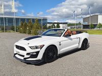 Ford Mustang 29