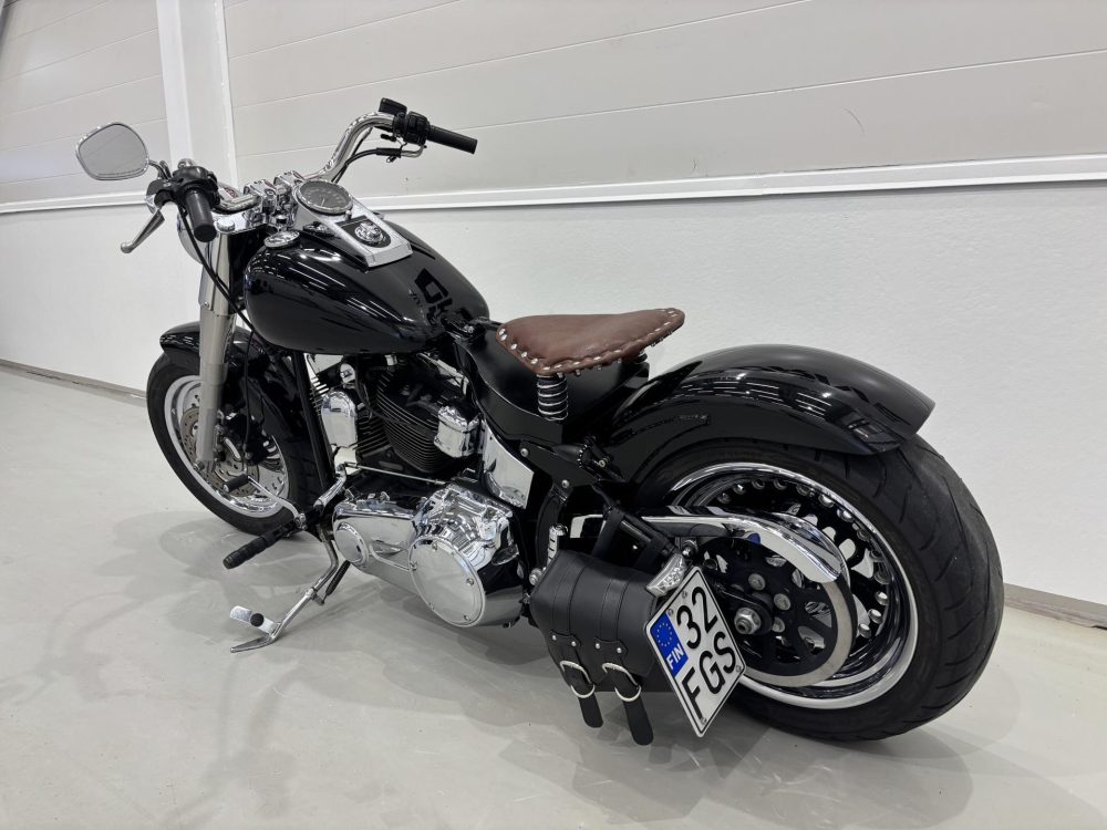 Harley-Davidson Softail 10