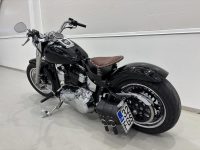 Harley-Davidson Softail 10