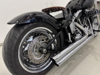 Harley-Davidson Softail 6