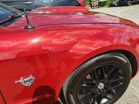 Ford Mustang 14