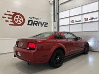 Ford Mustang 4