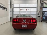 Ford Mustang 6